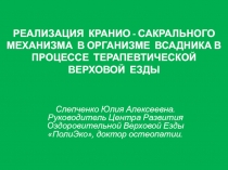 РЕАЛИЗАЦИЯ КРАНИО - САКРАЛЬНОГО МЕХАНИЗМА В ОРГАНИЗМЕ ВСАДНИКА В ПРОЦЕССЕ