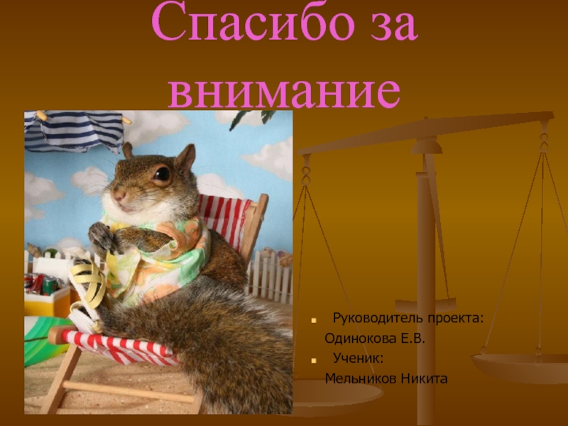 Внимание животные. Спасибо за внимание белка. Спасибо за внимание животный мир. Спасибо за внимание Белочка. Спасибо за внимание белки.