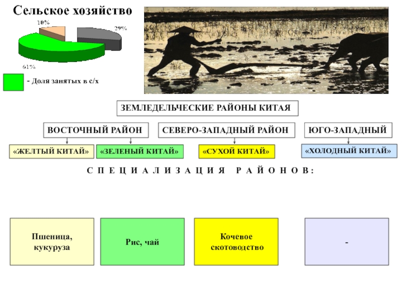Желтый китай. Структура сельского хозяйства Китая таблица. Земледельческие районы Китая таблица. Структура сельского хозяйства зеленого Китая. Основные районы специализации сельского хозяйства Китая.