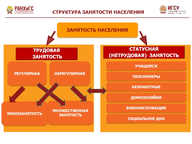 Домохозяйки какая категория населения. Тип трудовой занятости. Трудовая и нетрудовая занятость.. Типы трудовой структуры населения. Виды занятости нетрудовая.