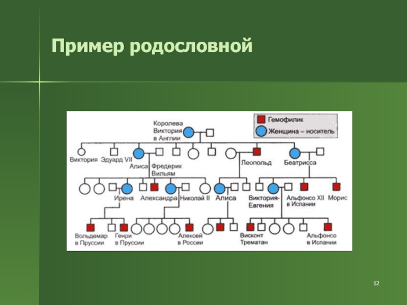 Биология генетика схема