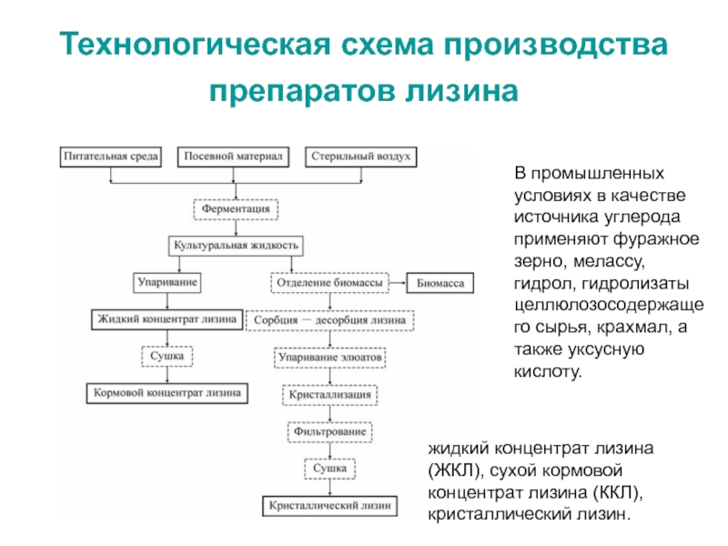 Технологическая карта аминокислоты