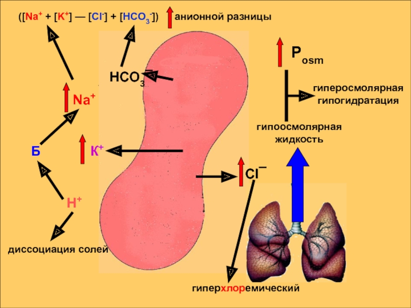 Гипо 3