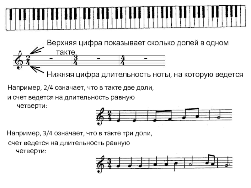 Песня счет. Такт Тактовая черта размер такта. Такт в нотах. Доли в такте. Длительность такта.