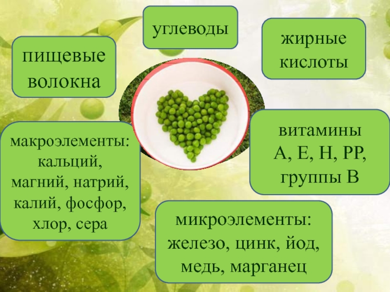 Фосфор хлор. Пищевые волокна это углеводы. Волокнистые углеводы. Пищевые волокна магний. Неперевариваемые углеводы пищевые волокна их роль в питании.