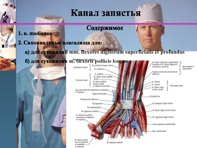 Каналы запястья топографическая анатомия схема