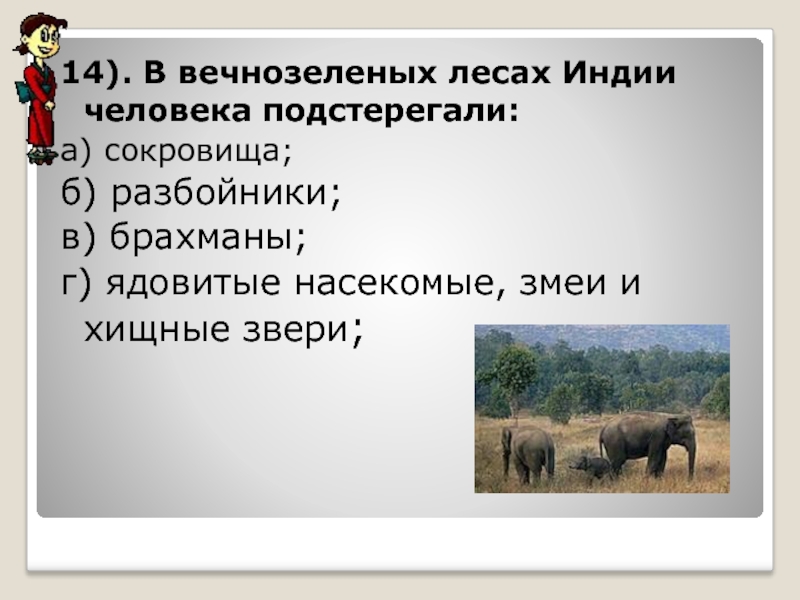 Тест древняя индия 5 класс с ответами. В вечнозеленых лесах Индии человека подстерегали. Тест древняя Индия 5 класс. Контрольная работа по теме древняя Индия 5 класс. Тест по древней Индии.