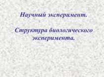 Научный эксперимент