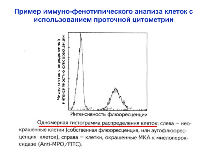 Анализ клеток. Проточная цитометрия клеточный цикл. Гистограмма проточной цитометрии. Проточная цитометрия анализ. Интенсивность флюоресценций это.