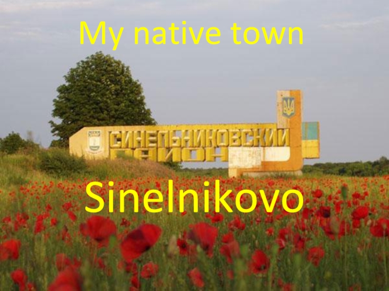 Мой родной город (Синельниково)