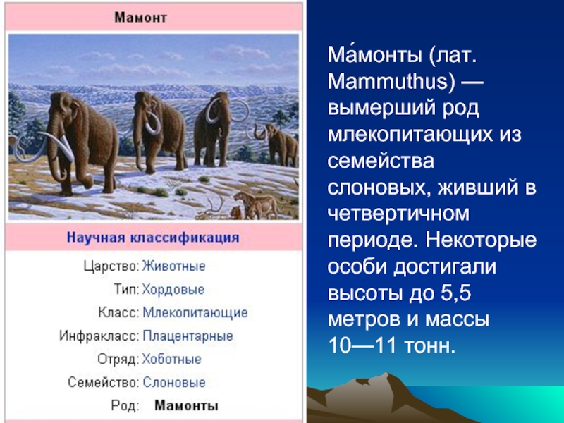 Ма́монты (лат. Mammuthus) — вымерший род млекопитающих из семейства слоновых, живший в четвертичном периоде. Некоторые особи достигали