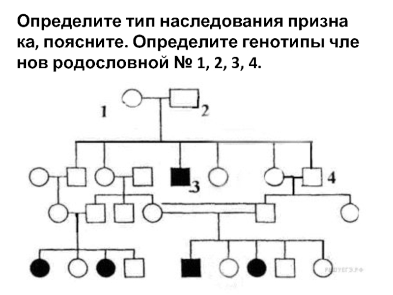 По изображенной на рисунке родословной определите характер наследования признака доминантный или