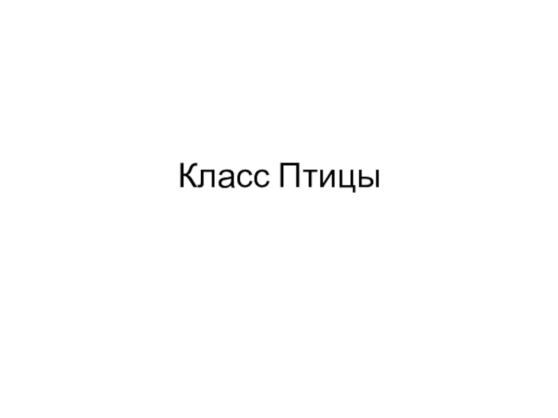 Презентация Класс Птицы