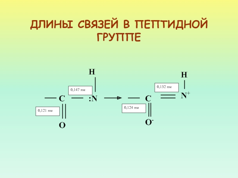 Длина белков. Длина связи. Длины связей в пептидной группе. Длина пептидной связи. Длина связи в группе.