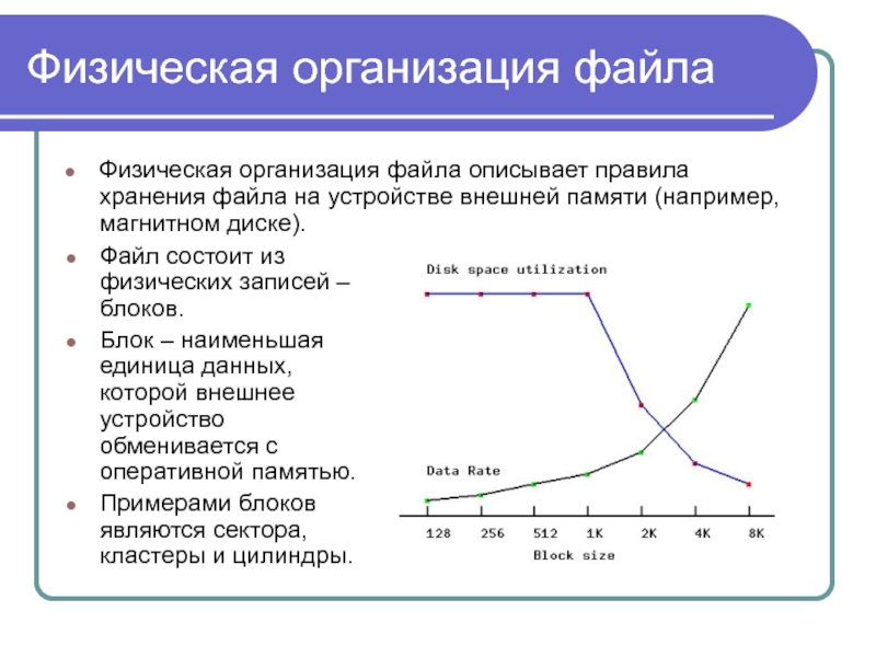 Указаны пути от корневого каталога к некоторым файлам хранящимся на магнитном диске отобразите