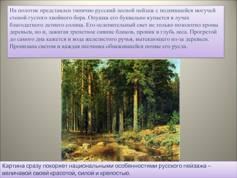 На полотне представлен типично русский лесной пейзаж с поднявшейся могучей стеной густого хвойного бора. Опушка его буквально