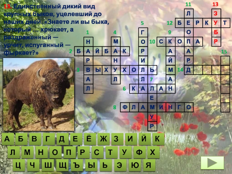 Дикий бык 4 букв сканворд. Кроссворд в картинках животные Казахстана. Единственный дикий вид крупных Быков уцелевший до наших дней.