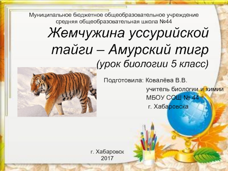 Жемчужина уссурийской тайги – Амурский тигр (5 класс)