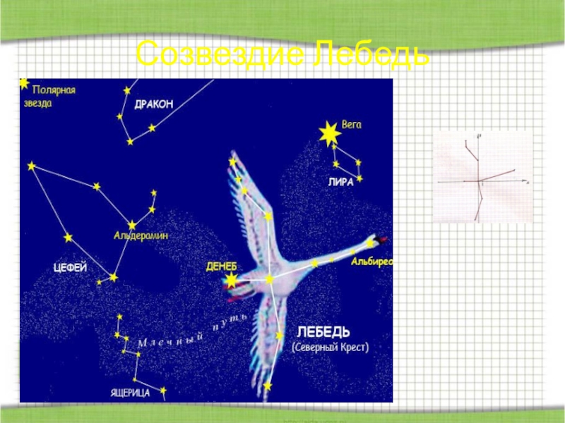 Рисунок созвездия лебедь