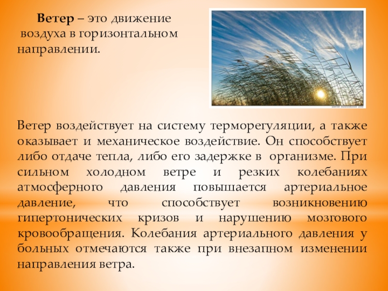 Влияние погодных условий на успеваемость проект 9 класс