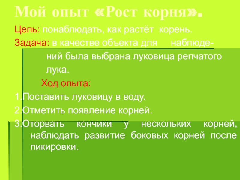 Рост опыта. Рост корней и листьев лука. Опыт рост корня. Цель работы луковицы. Цель роста корней и листьев лука.