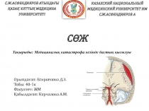 Орындаған: Есиркепова Д.З.
Тобы: 40-1к
Факултет: ЖМ
Қабылдаған: Карчалова