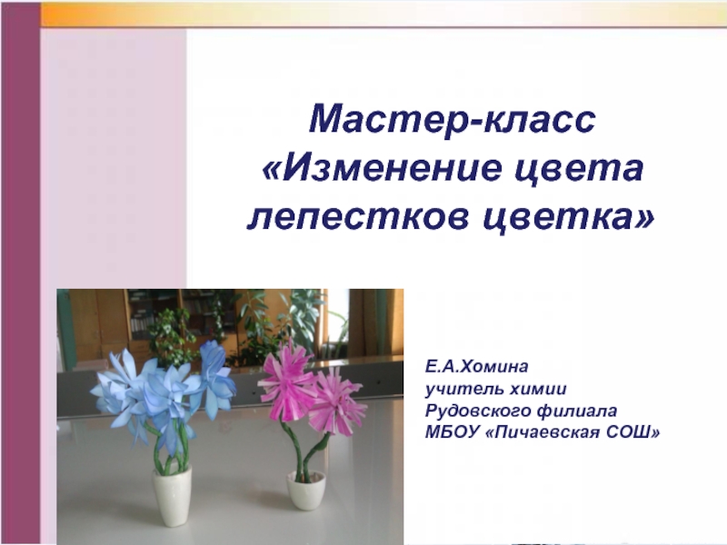 Презентация Мастер-класс «Изменение цвета лепестков цветка»