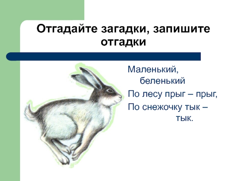 Загадка маленькое беленькое озерко дна не видать. Маленький Беленький загадка. Загадка маленький Беленький по лесочку Прыг Прыг. Загадка мал да бел по песочку Прыг Прыг по снежочку тык тык. Мал да бел по песочку Прыг-Прыг.