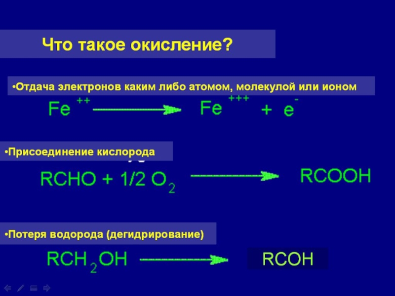 Реакция окисления происходит при. Биологическое окисление. Реакции биологического окисления. Типы окисления биохимия. Процесс биологического окисления.