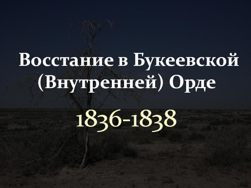 Руководители отряды карателей в букеевской орде