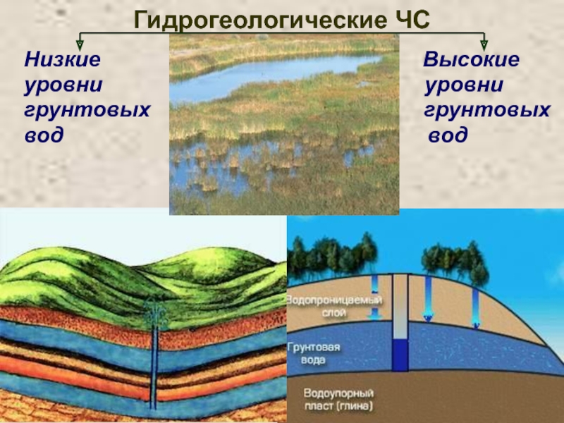 Уровень высоких вод. Низкий уровень грунтовых вод. Гидрогеологические ЧС. Высокие и низкие грунтовые воды. Низкие уровни грунтовых вод, высокие уровни грунтовых вод;.