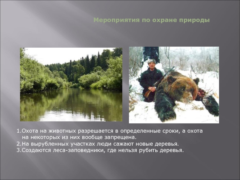 1.Охота на животных разрешается в определенные сроки, а охота     на некоторых из них