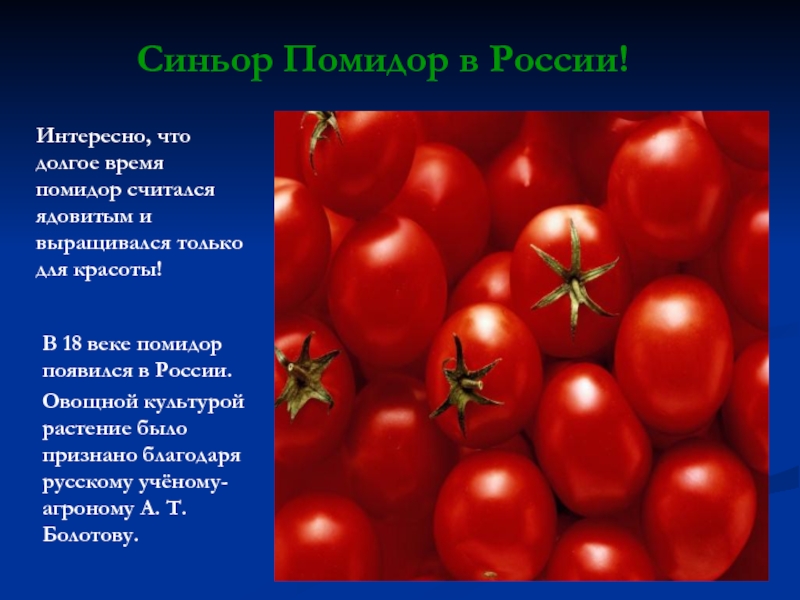 Какое овощное растение в старину называли королем овощей томат или шпинат