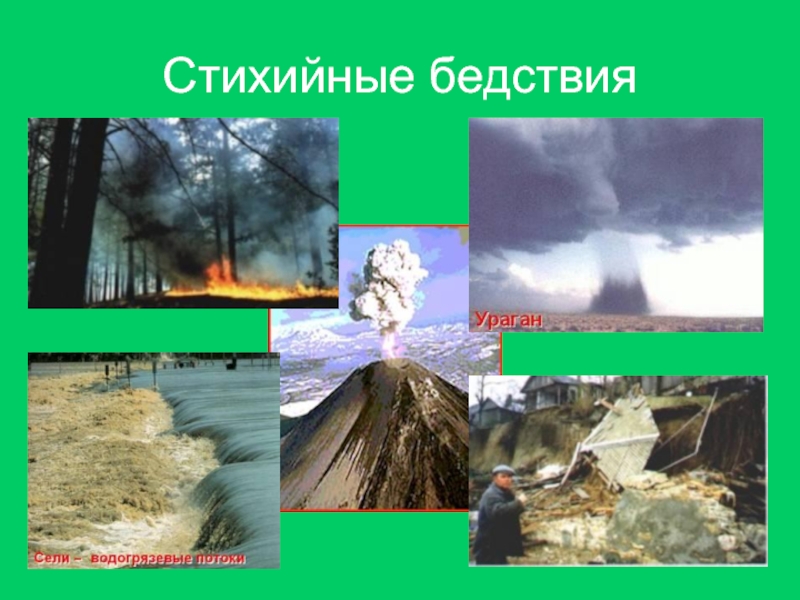 Реферат: Природные чрезвычайные ситуации стихийные бедствия