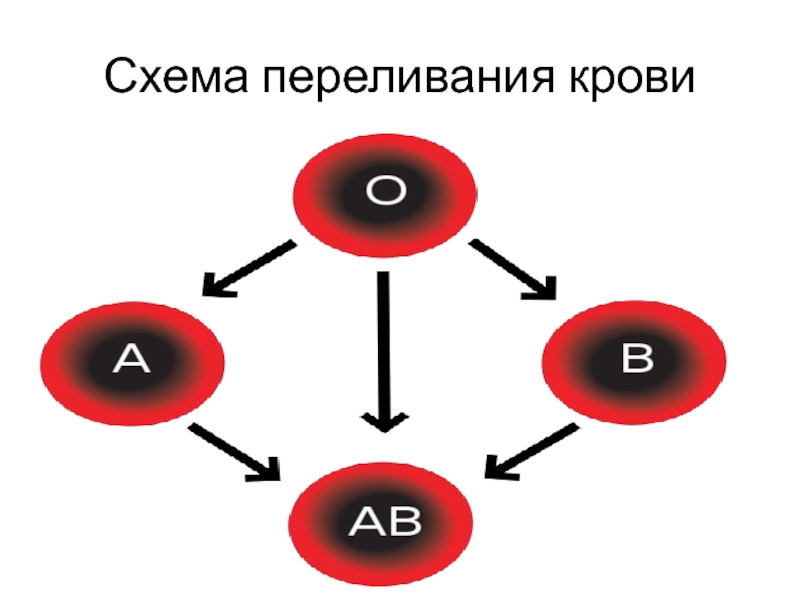 Схема переливания групп крови