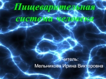 Презентация Пищеварительная система человека