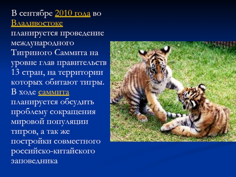 В сентябре 2010 года во Владивостоке планируется проведение международного Тигриного Саммита на уровне глав правительств 13