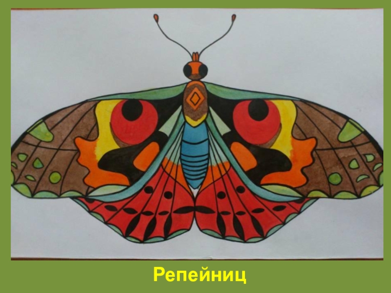 Узоры на крыльях бабочки. Урок изо бабочка. Рисование по представлению бабочка. Изо узоры на крыльях. Изо рисование бабочки.