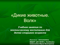 Дикие животные. Волк