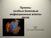 Прионы особые белковые инфекционные агенты PRION