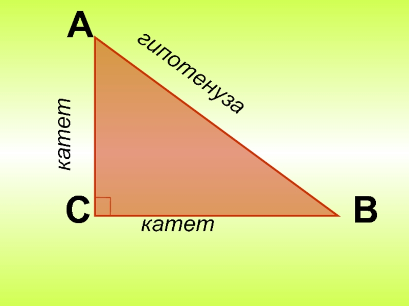 Гипотенуза и катет картинки