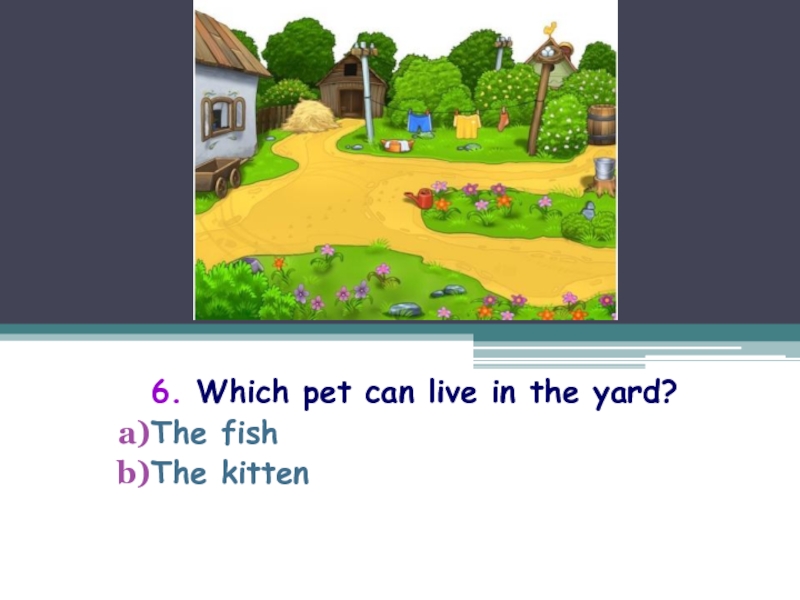 Can your pet 2. Can your Pet Classic игра.