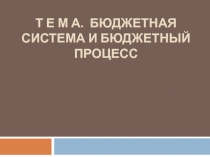 Бюджетный процесс 