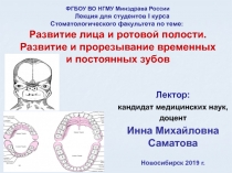 Развитие лица и ротовой полости. Развитие и прорезывание временных и постоянных