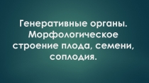Генеративные органы. Морфологическое строение плода, семени, соплодия.