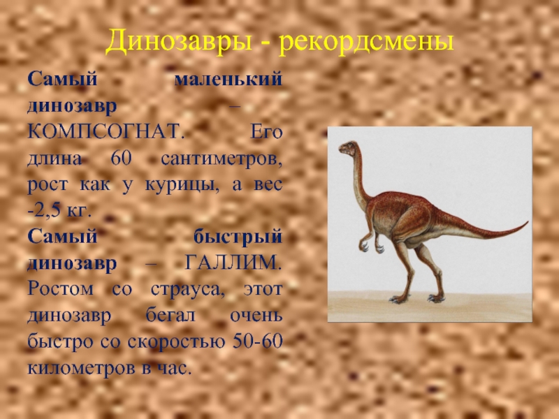 Реферат На Тему Динозавры