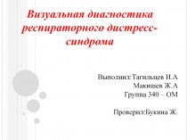 Визуальная диагностика респираторного дистресс-синдрома
Выполнил:Тагильцев
