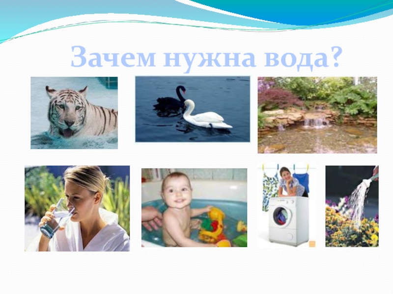 Проект всем нужна вода