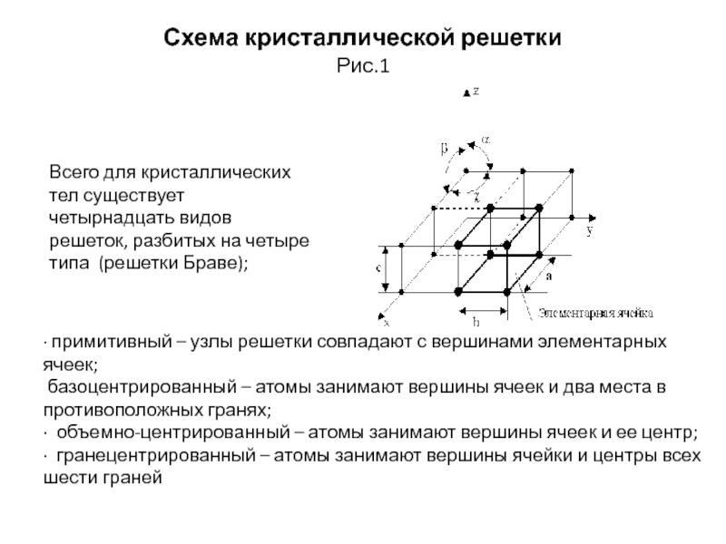 Тимы схема