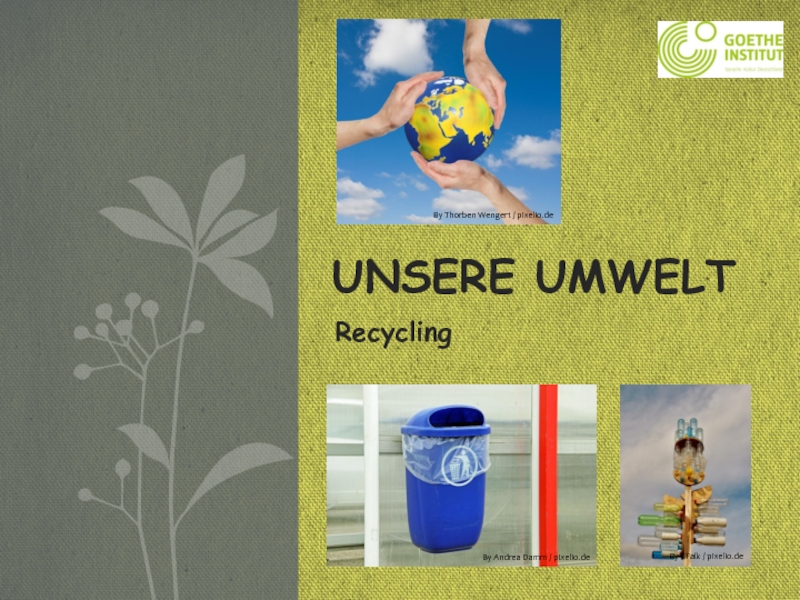 Презентация Unsere Umwelt